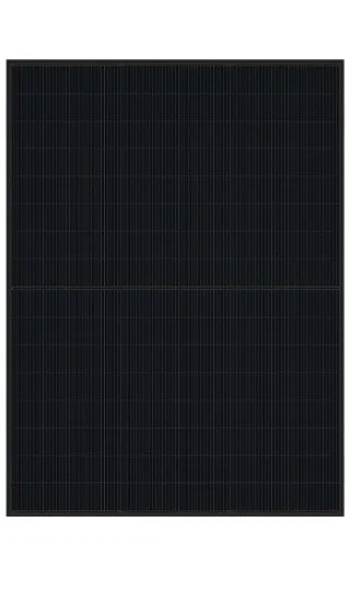 Bild von DMEGC DM465G12RT-G48HBB