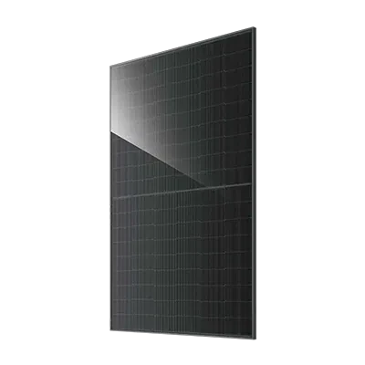Bild von JA Solar JAM54D41-465/LR
